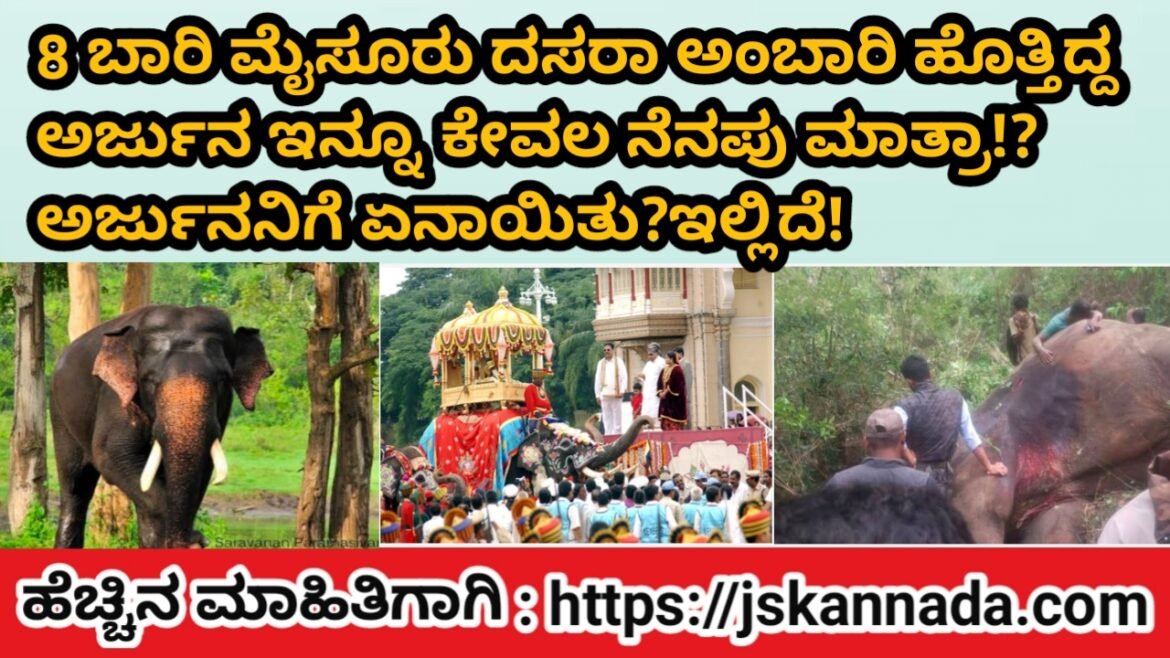 8 ಬಾರಿ ಮೈಸೂರು ದಸರಾ ಅಂಬಾರಿ ಹೊತ್ತಿದ್ದ ಅರ್ಜುನ ಇನ್ನು ಕೇವಲ ನೆನಪು ಮಾತ್ರ !?ಅರ್ಜುನನನಿಗೆ ಏನಾಯಿತು ? ಇಲ್ಲಿದೆ ನೋಡಿ